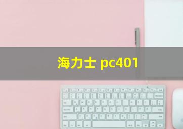 海力士 pc401